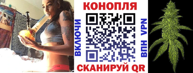 Шишки марихуана Amnesia Александровск-Сахалинский